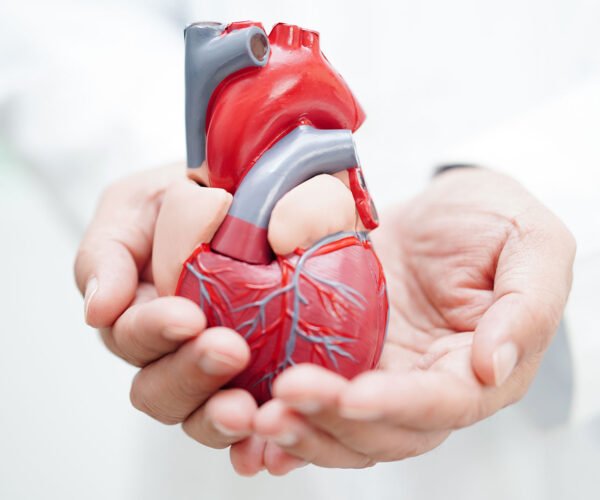 Cardiology10 600x500