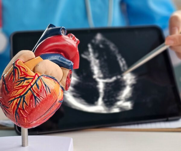 Cardiology11 600x500