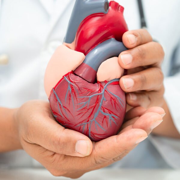 Cardiology4 600x600